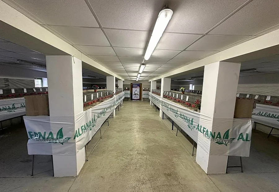 Ausstellungshalle einer Gruppenschau des Sondervereins